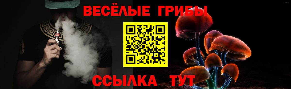 Ишим  Псилоцибиновые грибы Psilocybine cubensis  Вход с VPN 